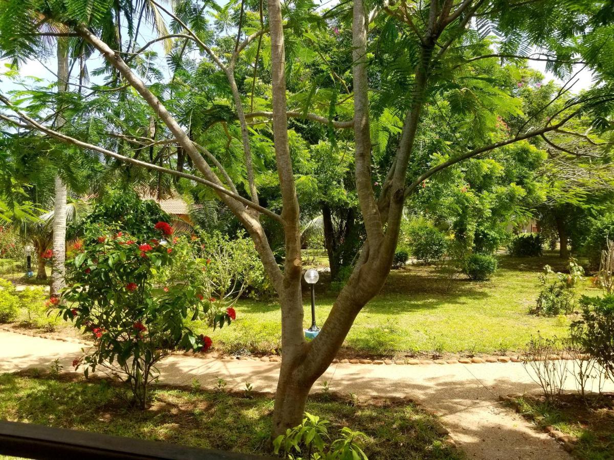 Charlestina Beach Resort Ampeni Экстерьер фото