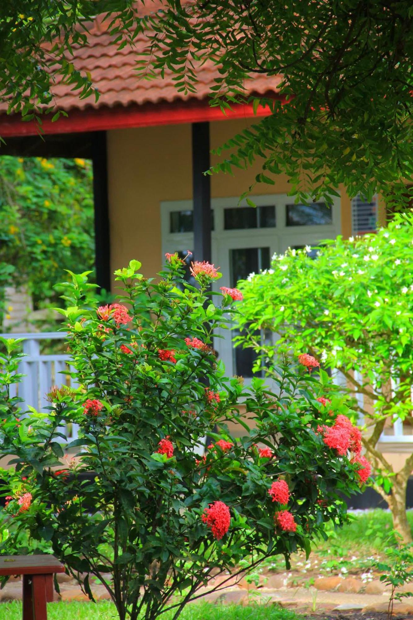 Charlestina Beach Resort Ampeni Экстерьер фото